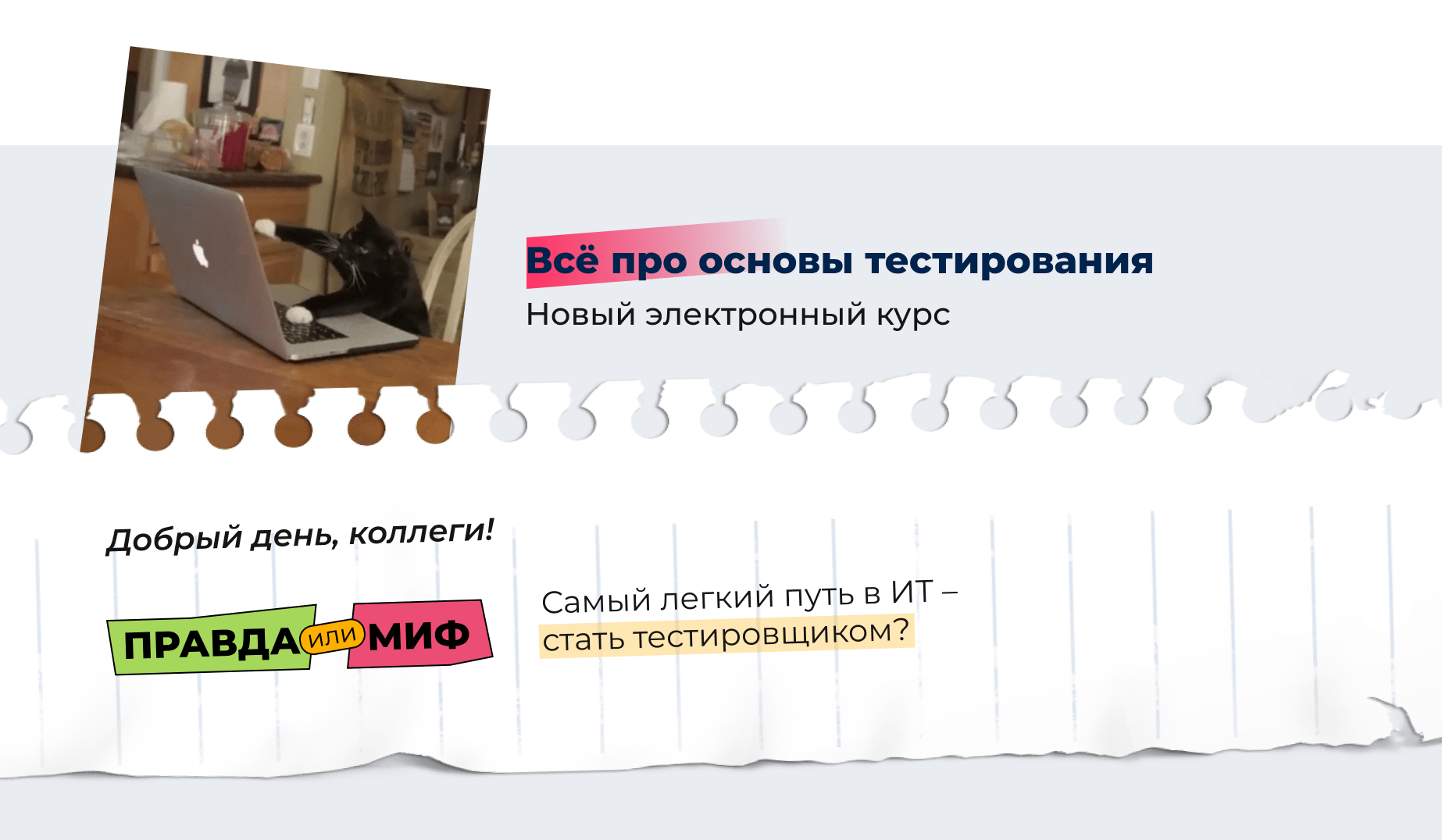 Запуск портала обучения на WebTutor с кастомизацией